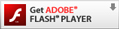 Adobe Flash Player Free Download